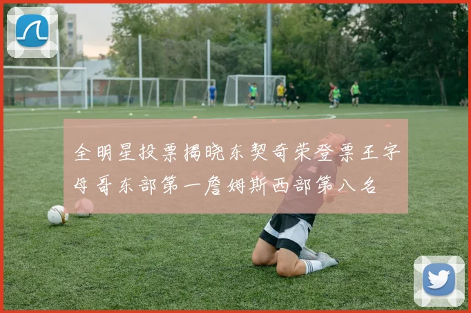 全明星投票揭晓东契奇荣登票王字母哥东部第一詹姆斯西部第八名