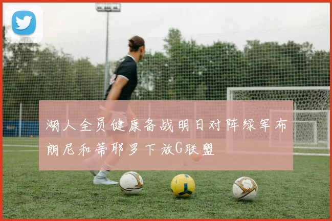 湖人全员健康备战明日对阵绿军布朗尼和蒂耶罗下放G联盟